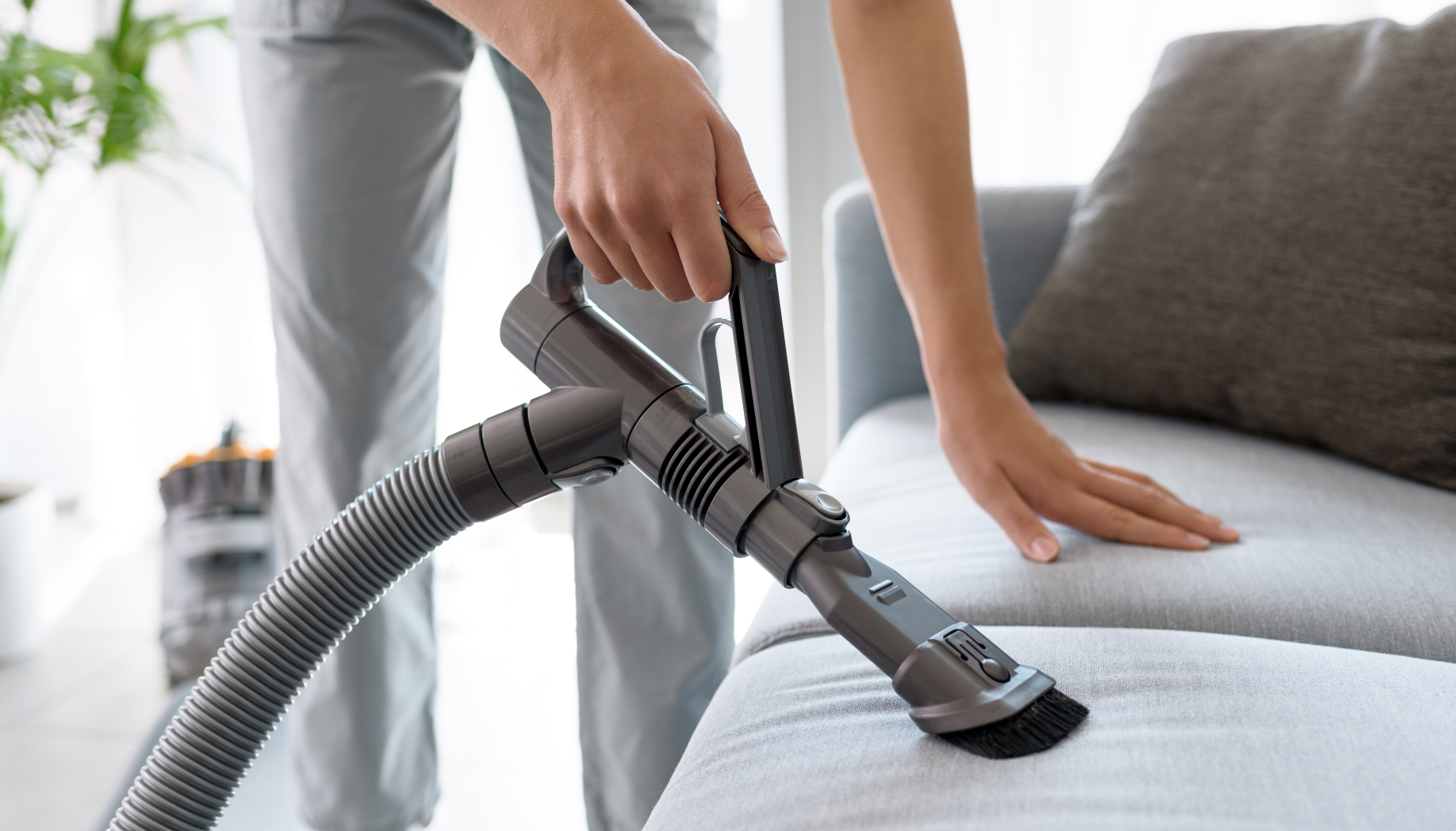 Vacuuming Sofa